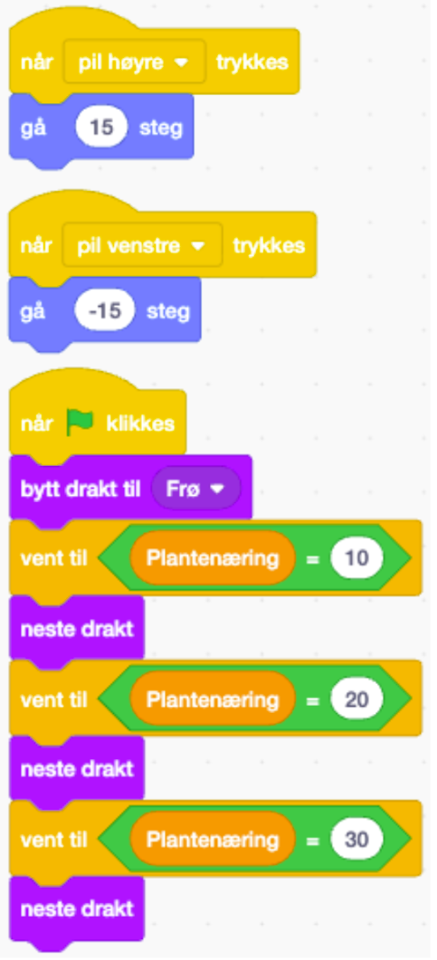 Bildebeskrivelse