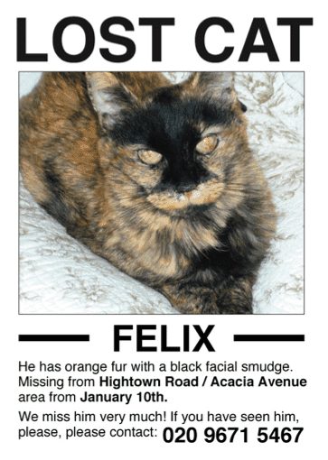 Savnet plakat til katten Felix